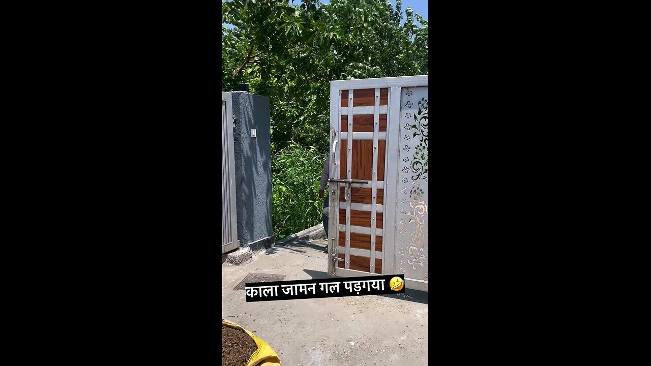 मै कार दुगी