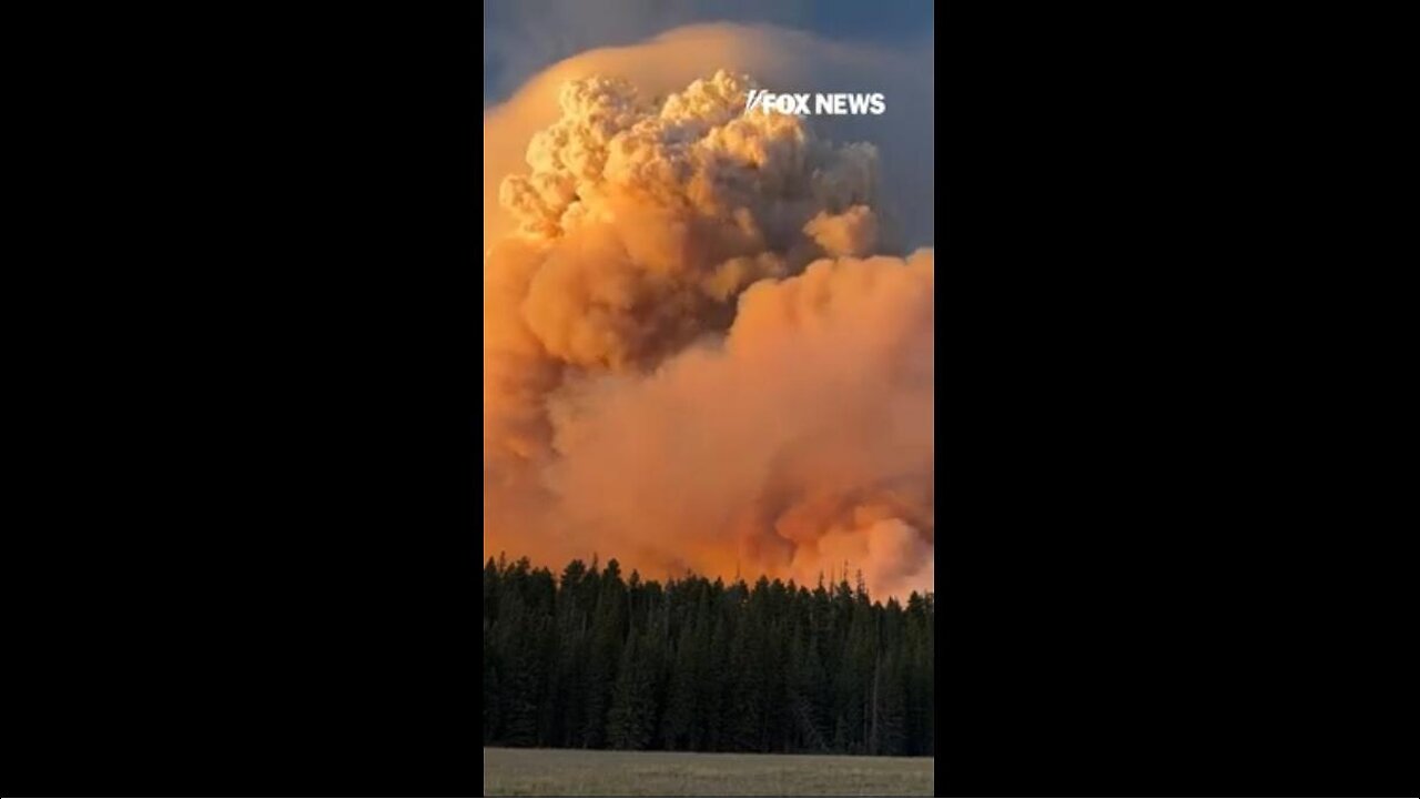WATCH: Fire near Grand Canyon forms mega-fire smoke cloud originating from the Dragon Bravo Fire