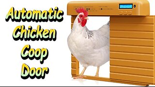 Automatic Chicken Coop Door