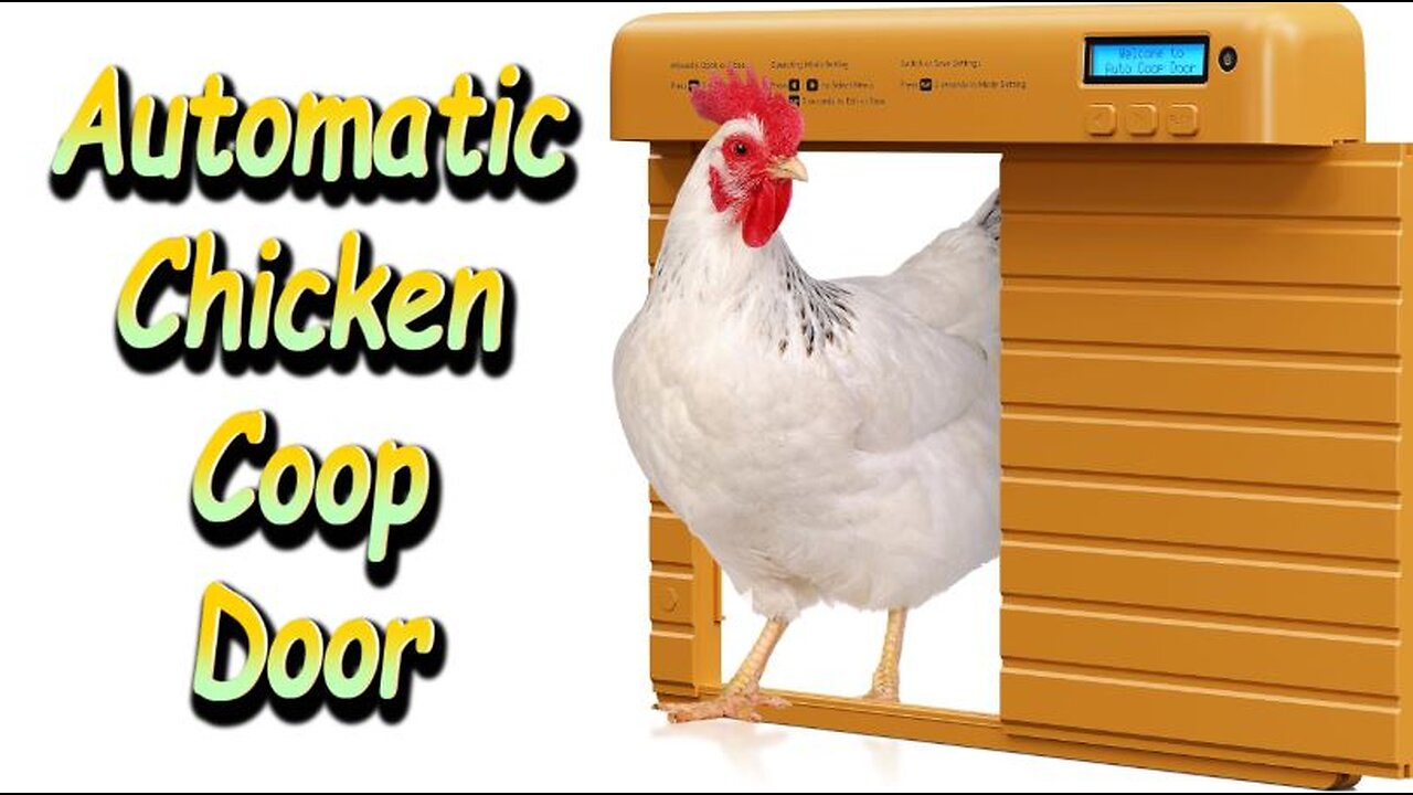 Automatic Chicken Coop Door