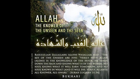 WOMB YANKED ON ALLAH'S GONAD