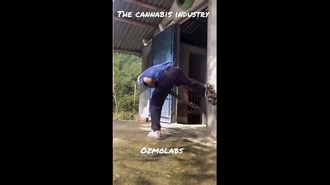 The big dog has arrived