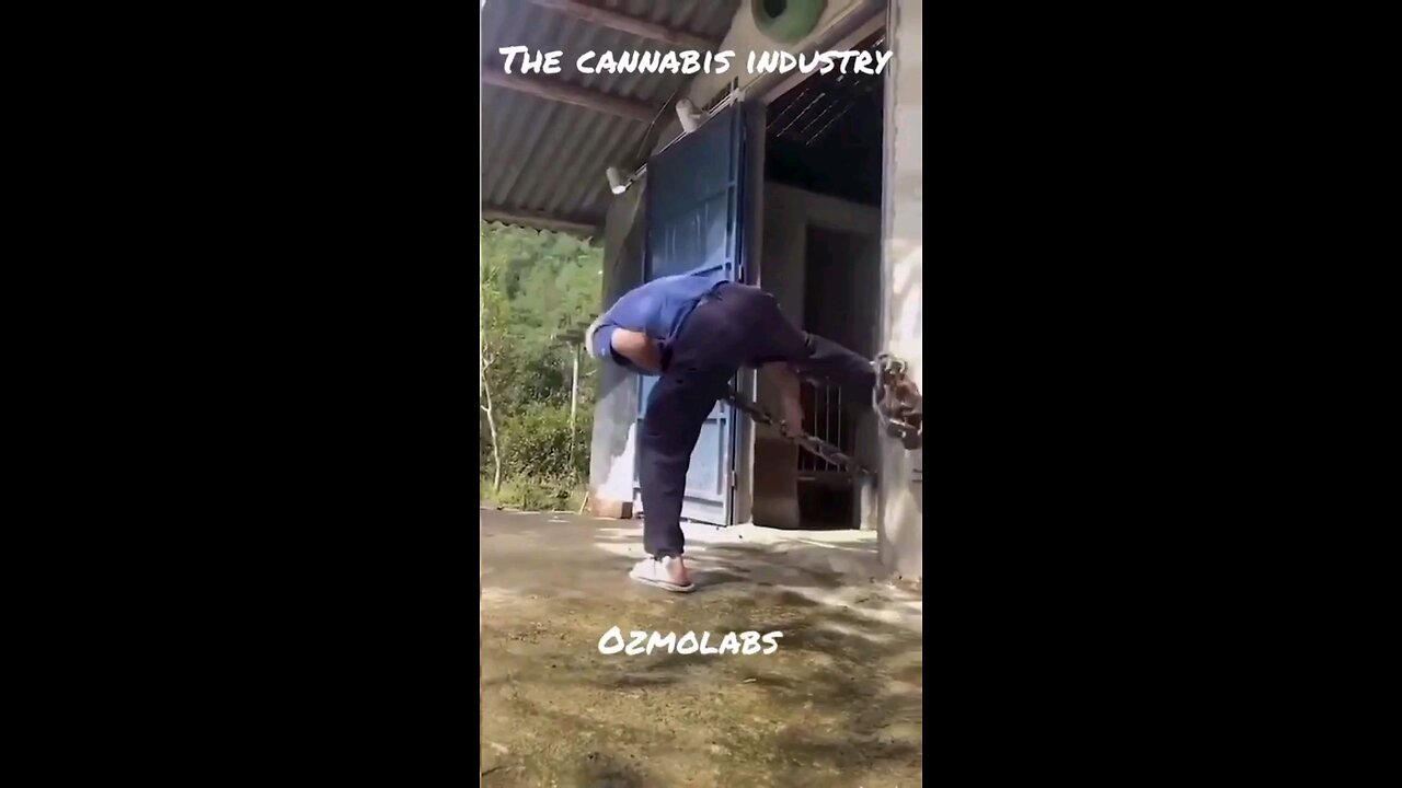 The big dog has arrived