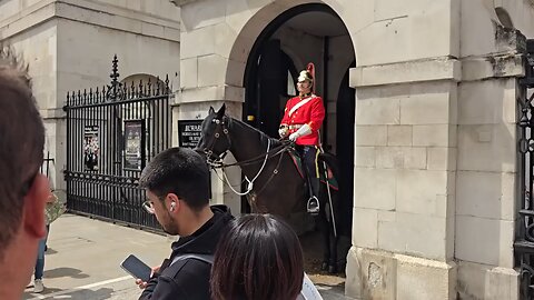 King's guard