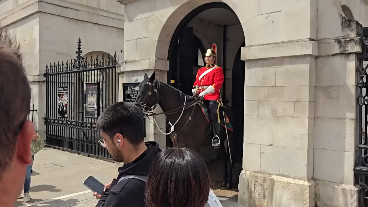 King's guard