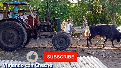 Ingenio Cubano: ¡Así se Arranca un Tractor Cuando Nada Más Funciona!