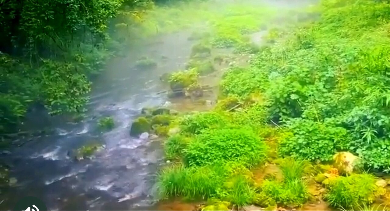 THE NEED FOR PATIENCE - DAILY DEVOTIONAL ❤️