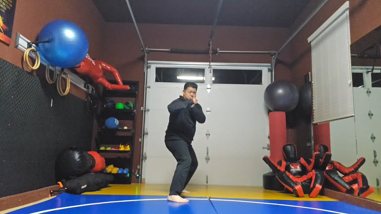 WTD Round Kick to Snap Hook Kick sequential