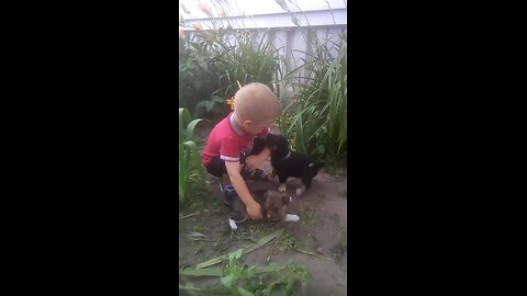 Little puppies