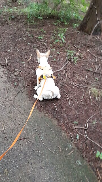 20250626. Jesus Loves me.