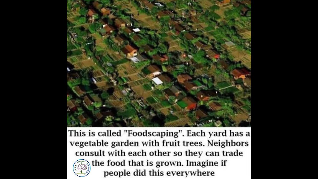 GMO is Back.....
