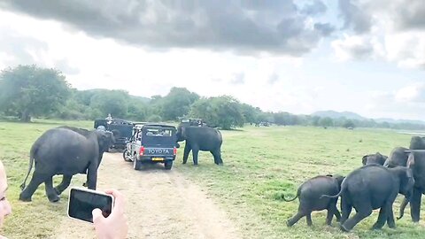 Welcome to Sri Lanka 🇱🇰