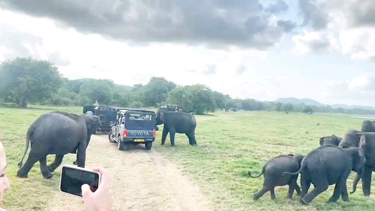 Welcome to Sri Lanka 🇱🇰
