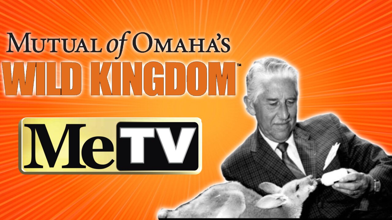 This Classic Nature Show Coming in July to METV