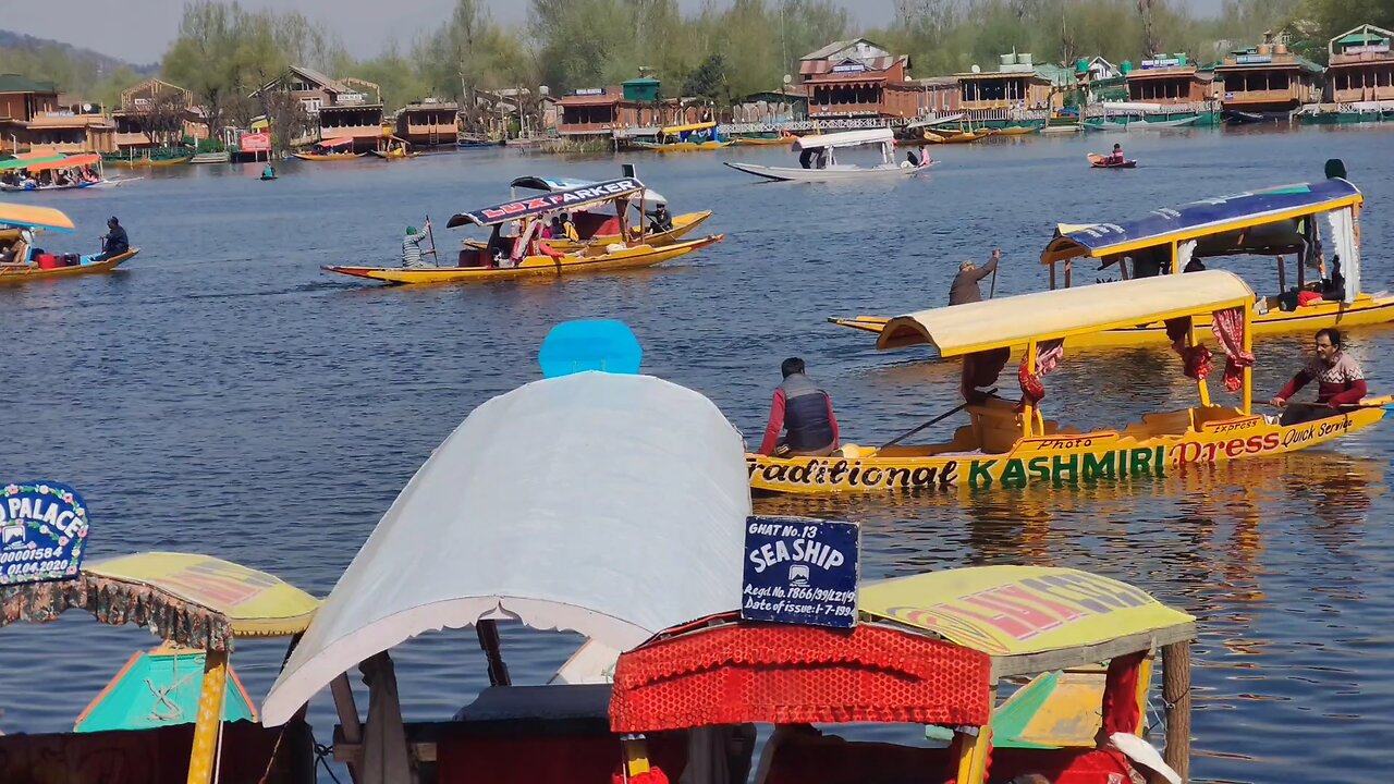 Dal Lake Srinagar Kashmir india vlog
