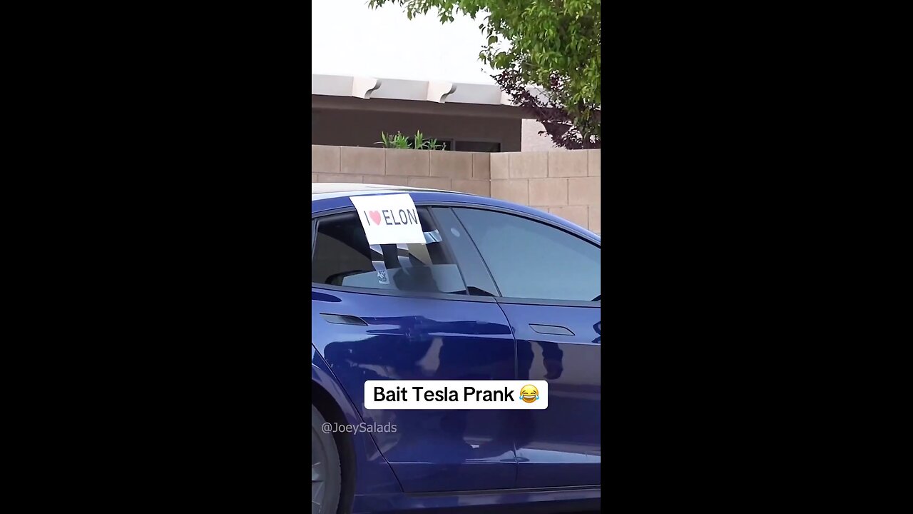 Tesla vandal faces prank with bait Tesla