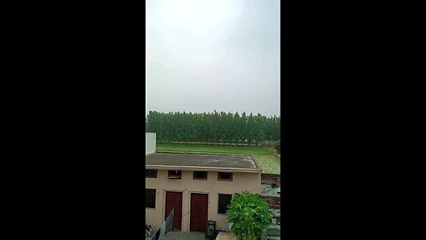 satisfying Video