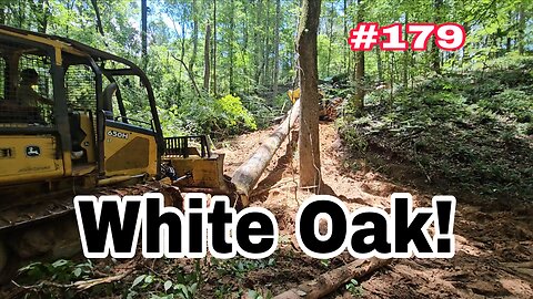 Big Logs Vs Steep Hills‼️