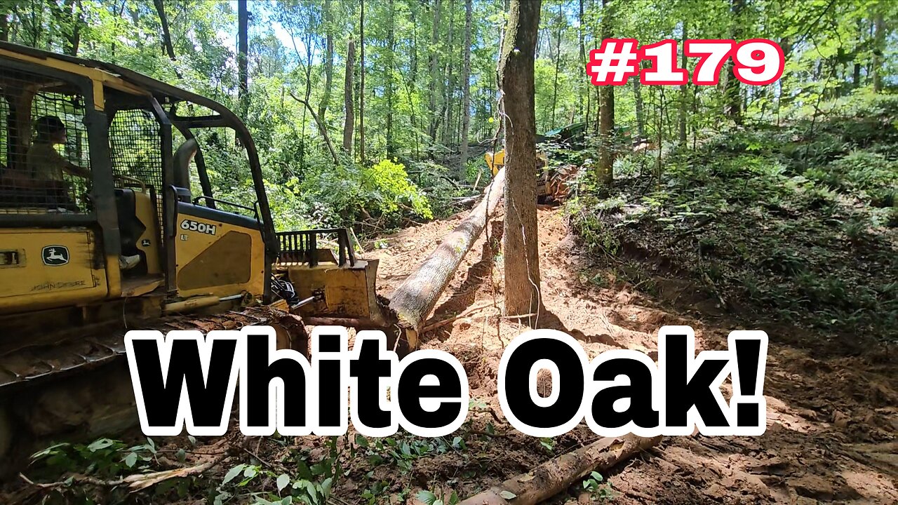 Big Logs Vs Steep Hills‼️