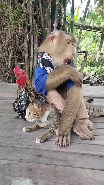 Viral video SokYaa, OG, Pao & Mom Are Famous Around The World #shorts #anime #trend #edit