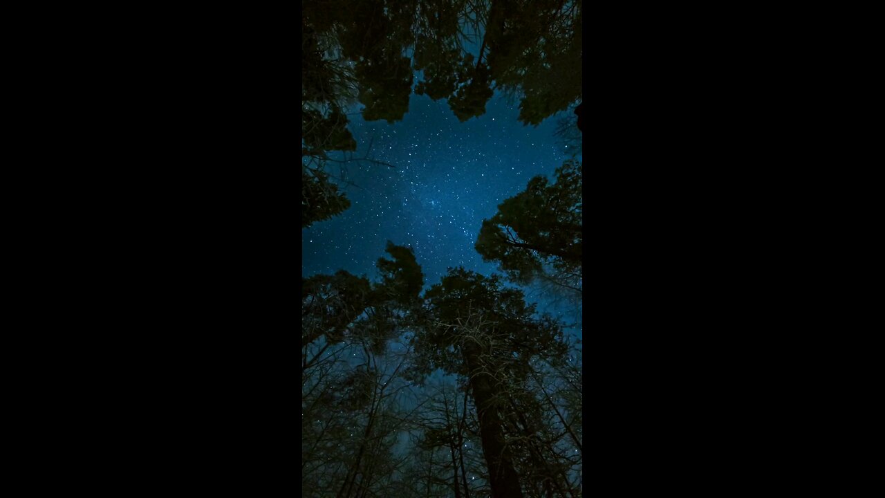 请复习这周经文 和祷告。 感谢主赐我们一切， 并且与我们同在。 阿门