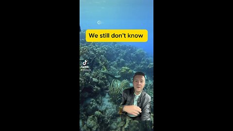 Eels are insane