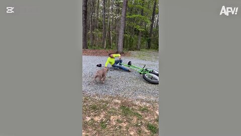 funny videos USA public seen#funny