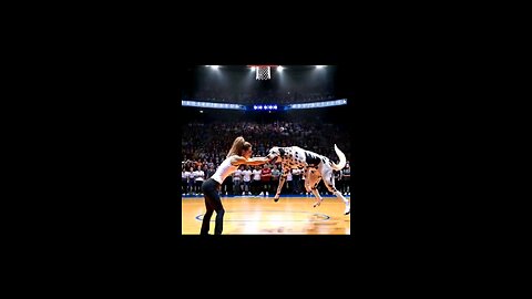 Meet the World's Tallest female volle sports player #shortsreels #viral #short #usa #talllady
