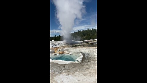 Some Yellowstone geyser action