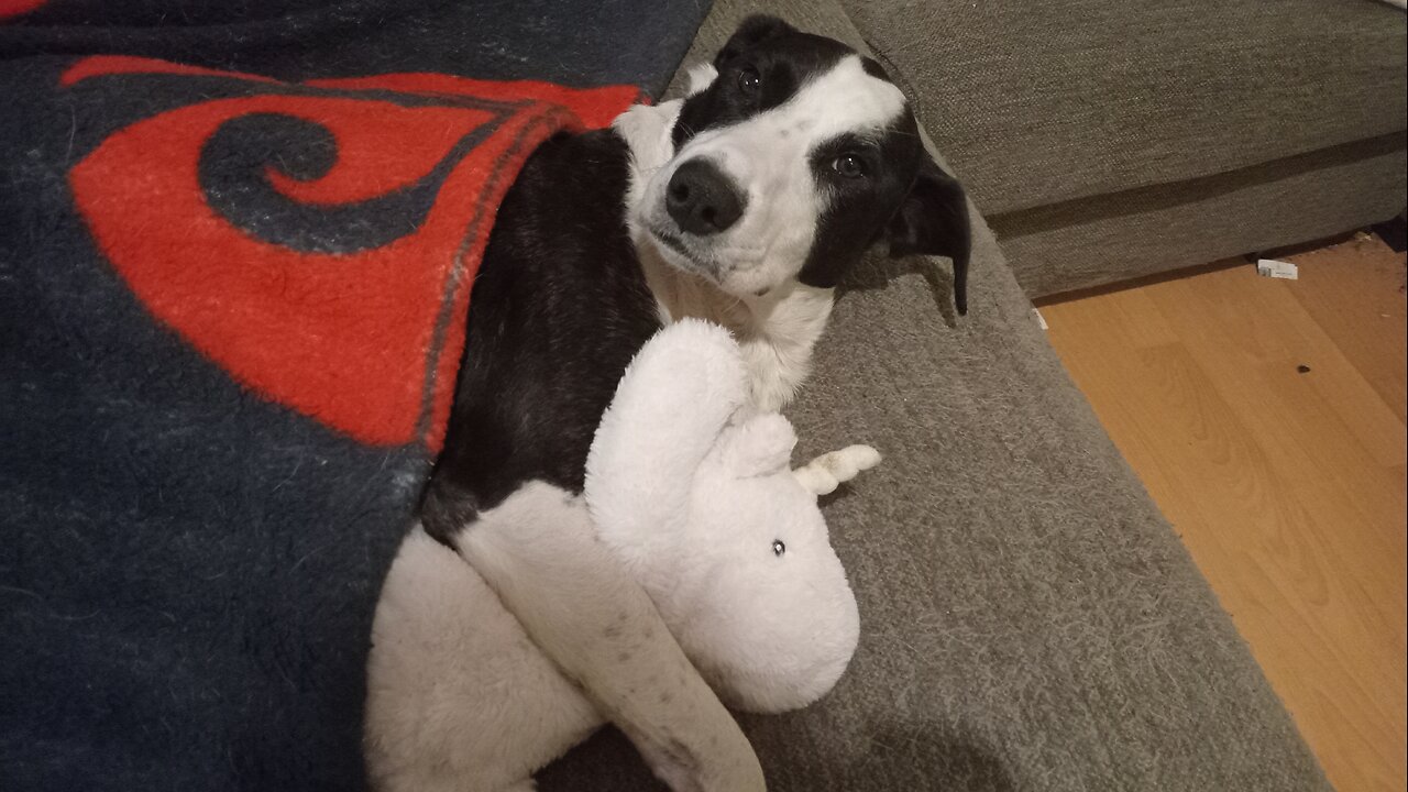 Wilson waking up from a deep sleep