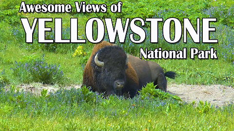 Awesome Views of Yellowstone National Park