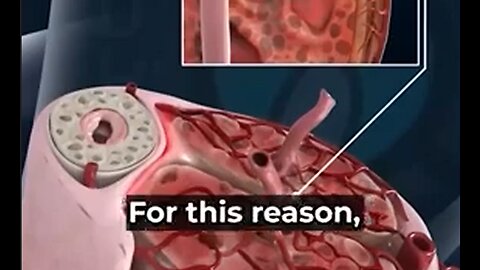 The Easiest Way To Achieve Peak Male Performance (Stronger Erections)