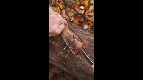 "Master Survival Skills: Discover the Ultimate Torch Firestarter Hack!"