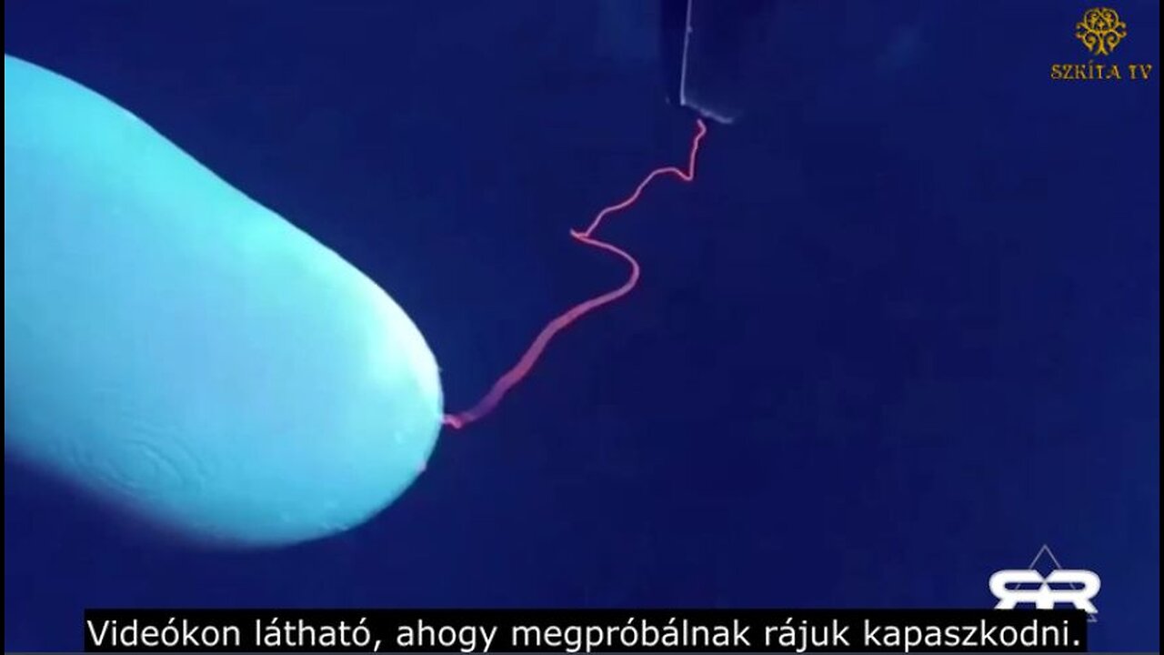The Reese Report: Dr. Ana Maria Mihalcea kutatásából - Nano-szálak és UV-fényben világító oltottak