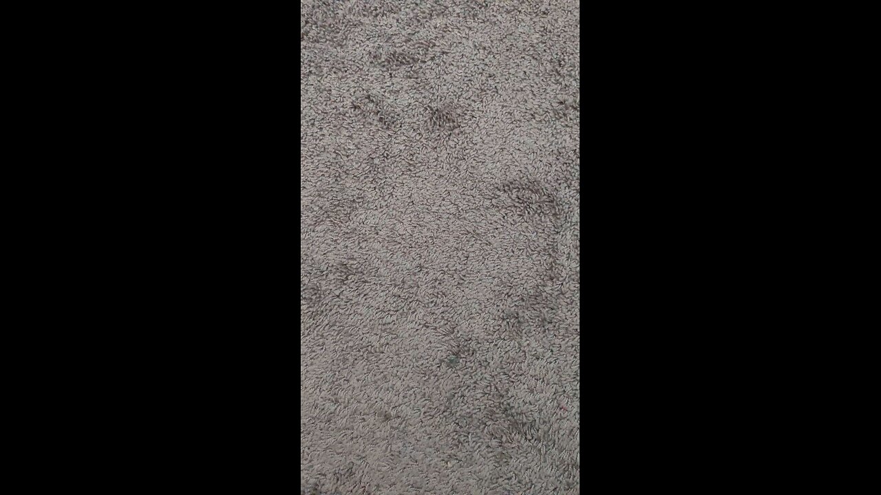 test 20