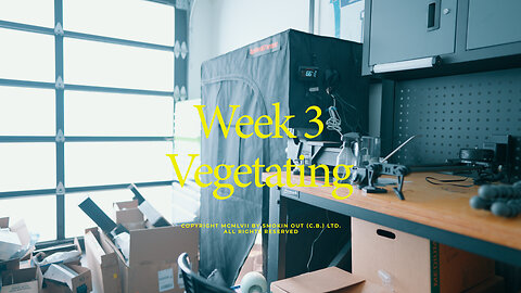 Cannabis Grow Journal - Week 3! Veg