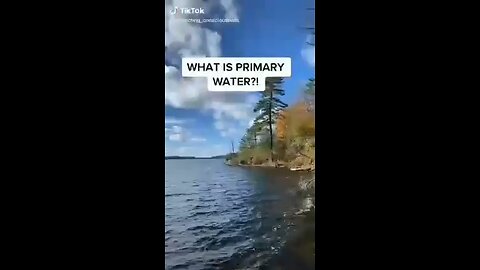 What Is Primary Water 💦