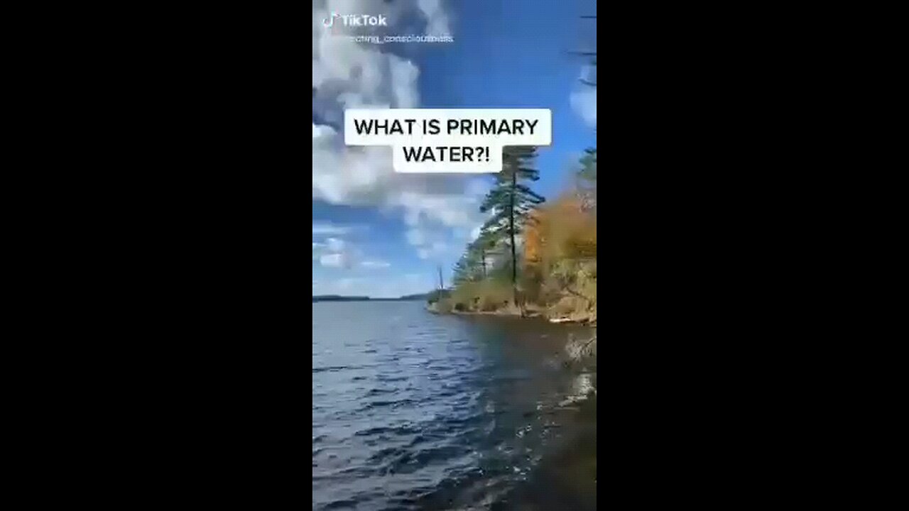 What Is Primary Water 💦