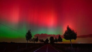 G4 (Severe) Storm Levels Reached! - Iguanas Are Dropping Out of Florida Trees - Record Cold Florida