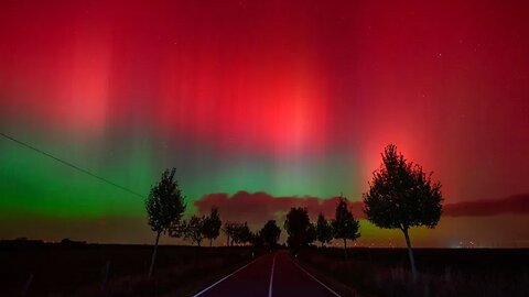 G4 (Severe) Storm Levels Reached! - Iguanas Are Dropping Out of Florida Trees - Record Cold Florida