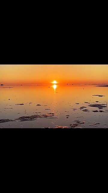 INDULGING WEAKNESSES - DAILY DEVOTIONAL ❤️