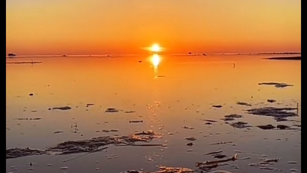 INDULGING WEAKNESSES - DAILY DEVOTIONAL ❤️