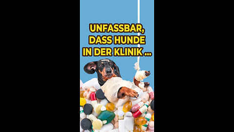 Unfassbar, dass Hunde in der Klinik ...