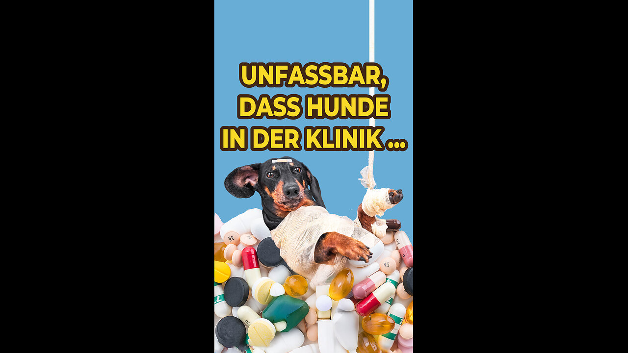 Unfassbar, dass Hunde in der Klinik ...
