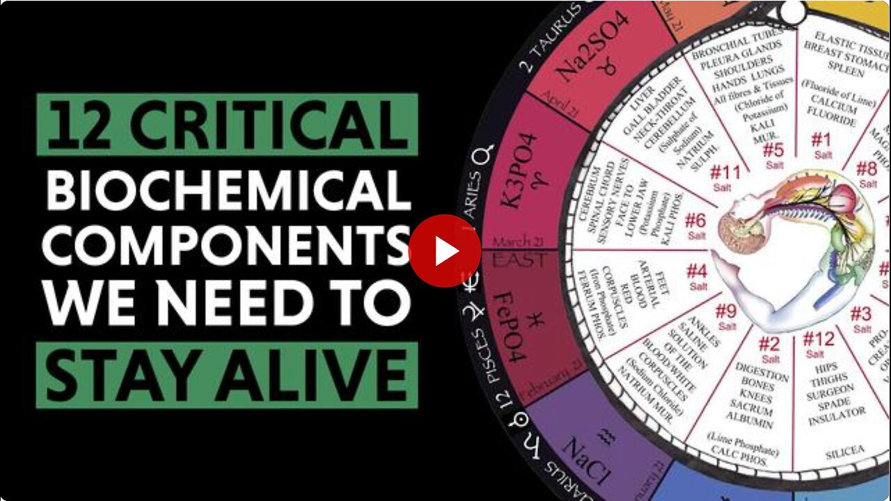 "Understanding Tissue Salts, Histology and the Mystery of Alchemy"