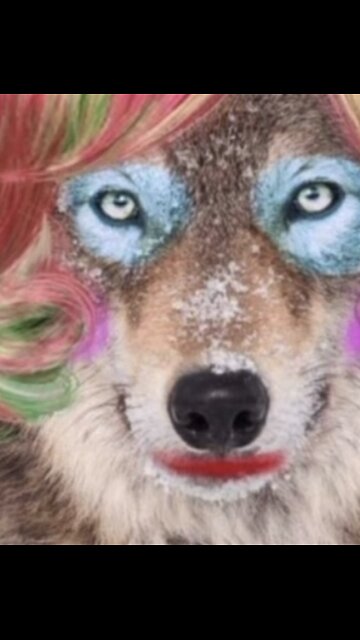 Stop Supporting "Woke" Businesses