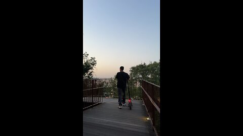 The view