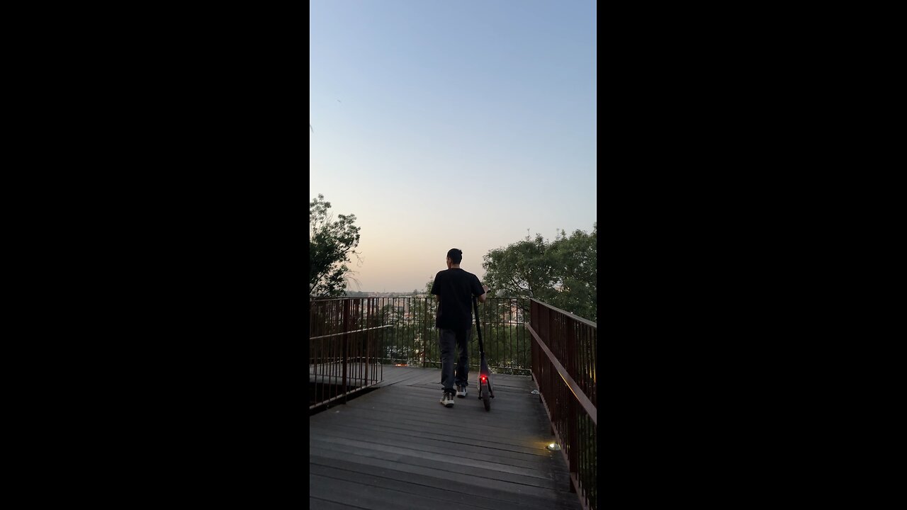The view