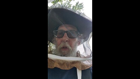 Peppermint candy &Bees 2