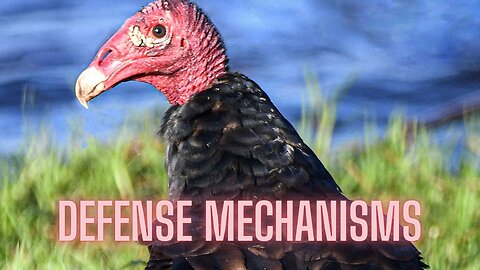 Nature's Most DISGUSTING Defense Mechanisms (You Won't Believe It) | AMZG Animals